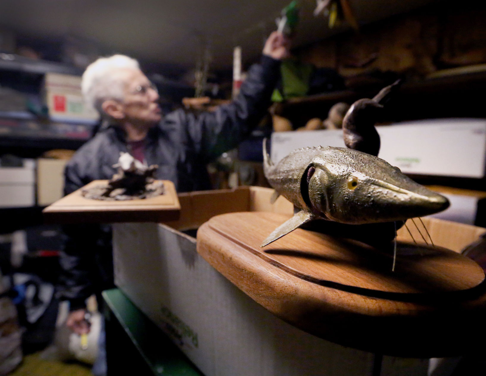 Sturgeon Spearing
